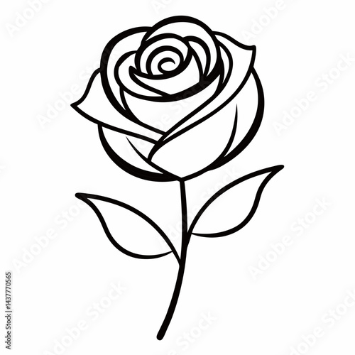 black rose vector illustration
