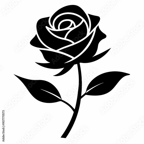 rose vector illustration