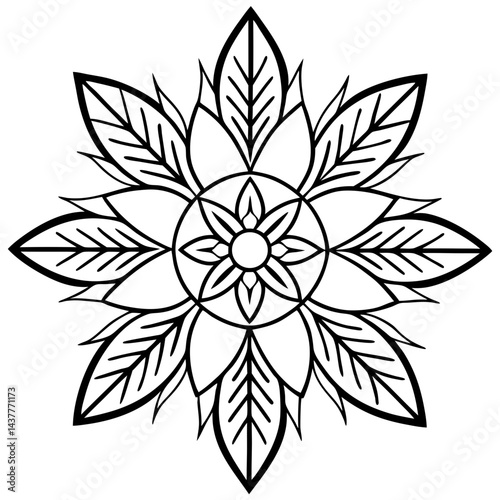 Spiritual mandala of feathers