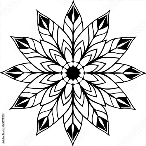 Spiritual mandala of feathers