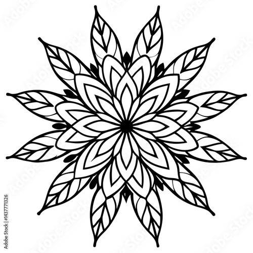 Spiritual mandala of feathers