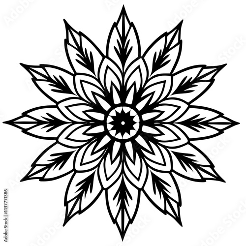 Spiritual mandala of feathers