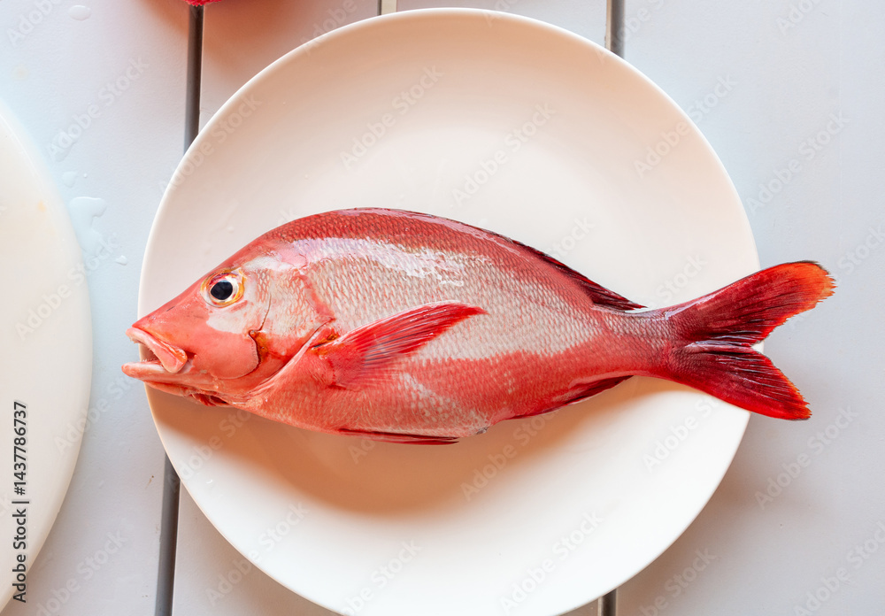 Red Snapper fish close up, Lutjanus or seabream, Sebastes fresh sea food, raw uncooked