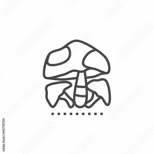 Mushroom vector collection. Illustration design for business. Stock vector.
