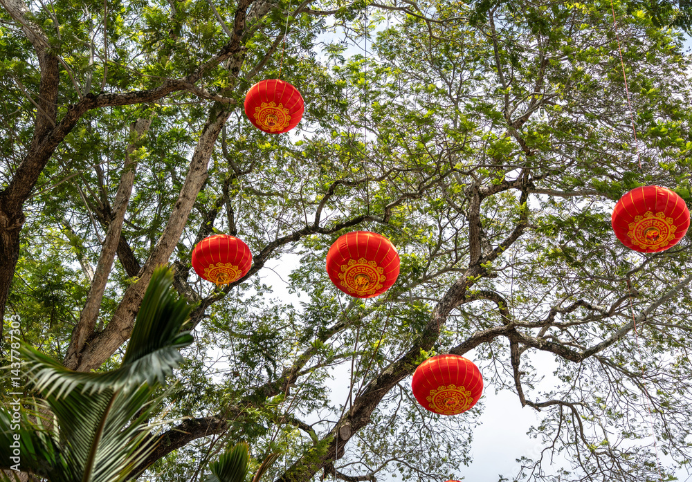Red Chinese lanterns hanging on green tree in daylight, asian lamps, traditional oriental lanterns