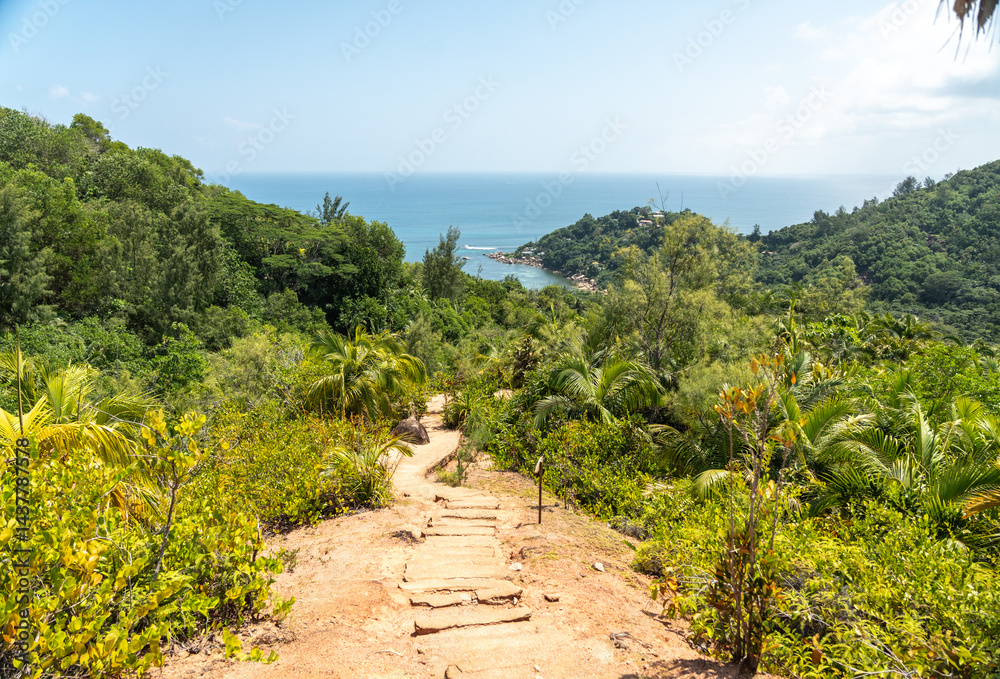 Tropical trail with steps on scorched hill under blazing sun leading through lush jungle to ocean