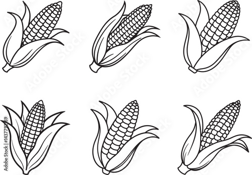 set of corn line art, black outline, vector and illustration, coloring book page line art drawing