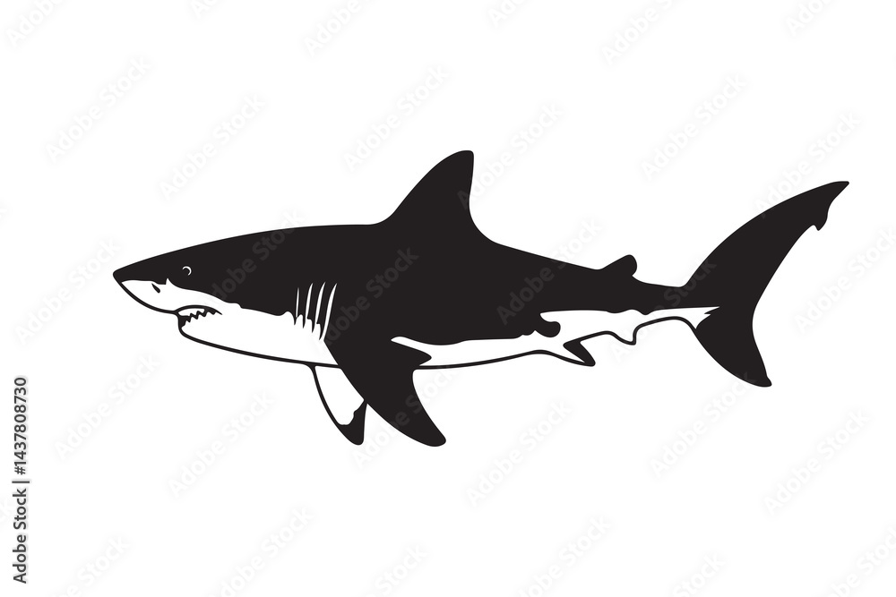 Fototapeta premium Great White Shark Vector Silhouette – Sea Animal Illustration