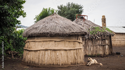 фотографія The architecture of the Maasai Village in Tanzania