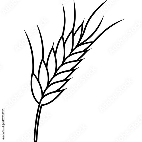 ears of wheat