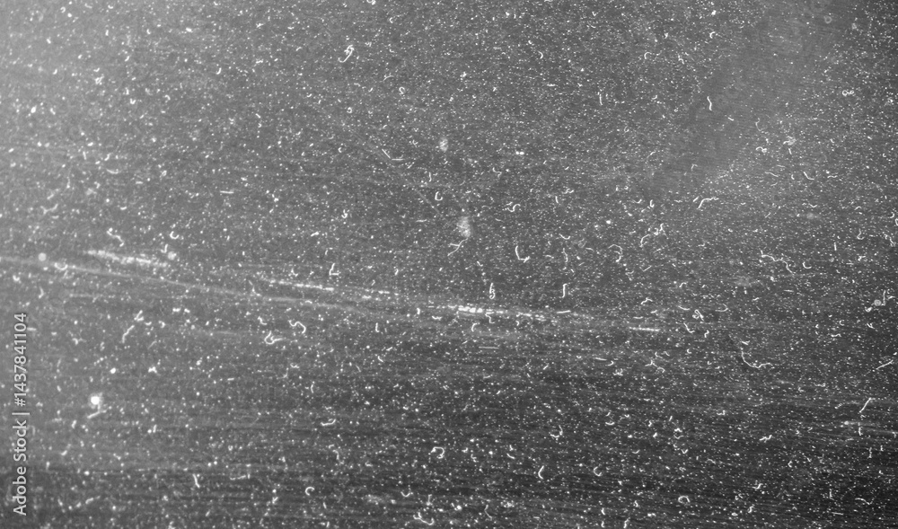 Obraz premium White noise. Background effect with sound effect and grain. Distress overlay texture for your design. Grainy gradient background