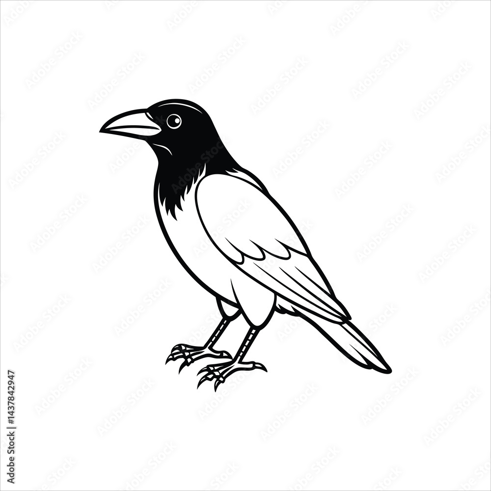 Fototapeta premium crow vector