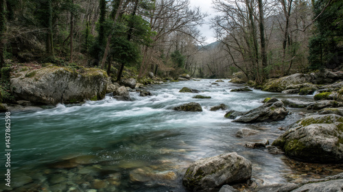 Dynamic long exposure captures the flowing motion of a river as it rushes over rocks in a wooded landscape