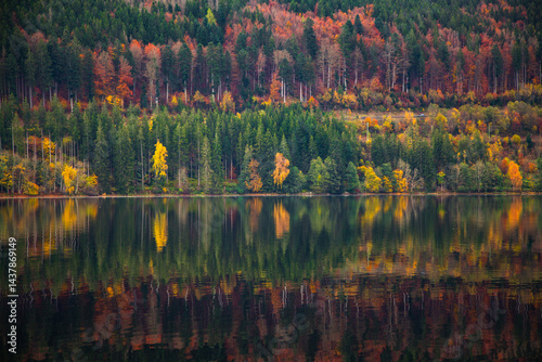 different colours of autumn forest on the bank of a tranquil lake