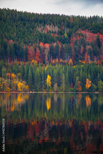 different colours of autumn forest on the bank of a tranquil lake