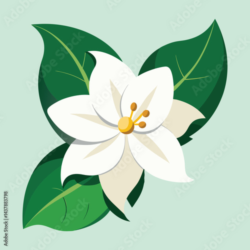 85 Vactor jasmine flower 