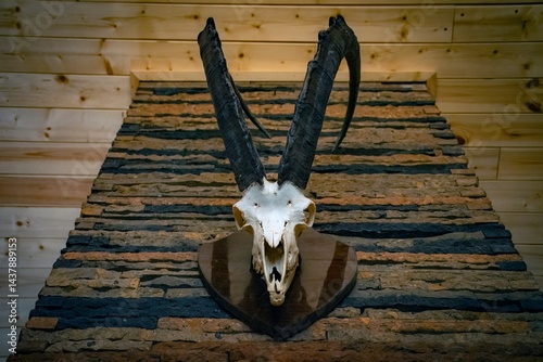 Obraz na płótnie ibex skull on the wall w salonie