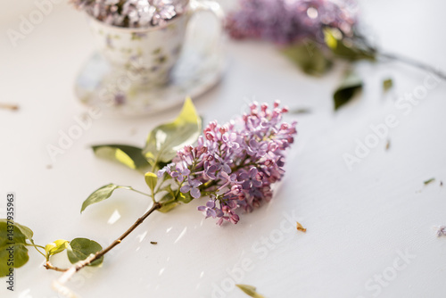 Lilac flowers lying on a pristine white surface, with a floral-patterned cup in the background. A serene and minimalist representation of spring elegance and simplicity.