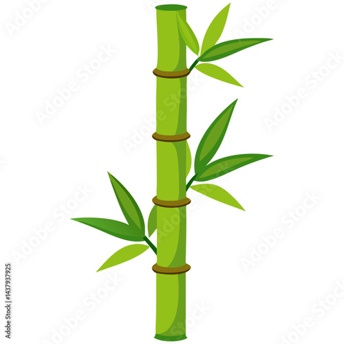 Green bamboo stalk with leaves illustration, flat nature design
