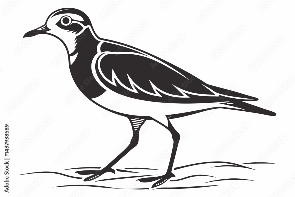 Fototapeta premium plover sihouette black vector