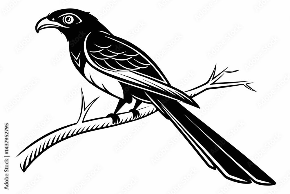 Fototapeta premium trogon sihouette black vector