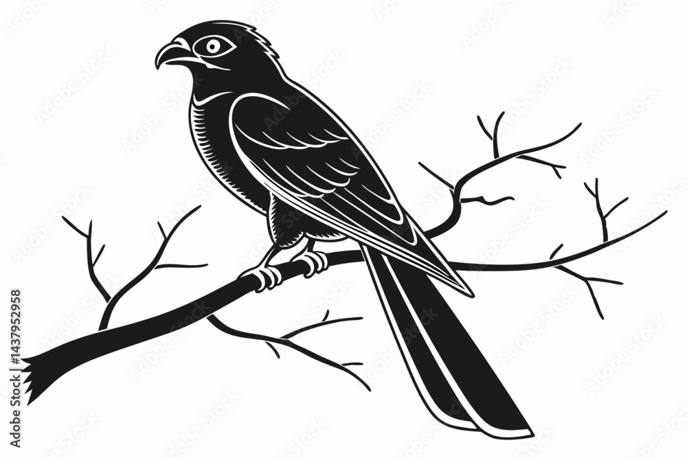 Fototapeta premium trogon sihouette black vector