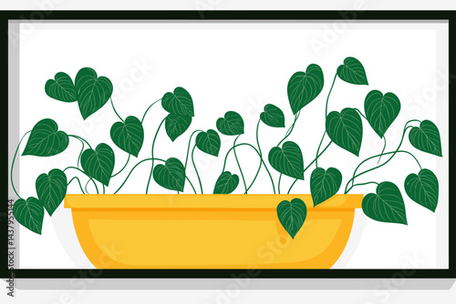 Green vine plants cascading from a bright yellow pot.