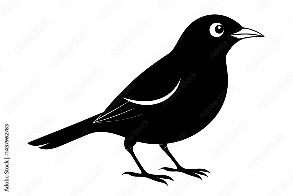 Obraz premium myna sihouette black vector