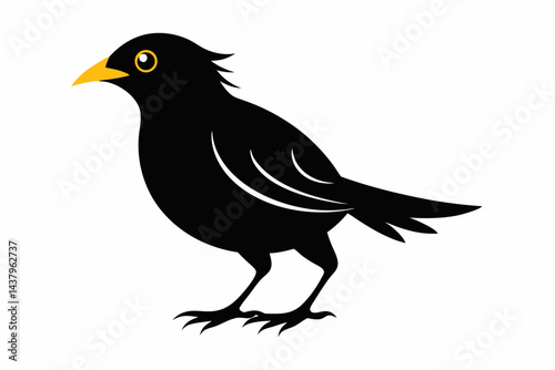 myna sihouette black vector