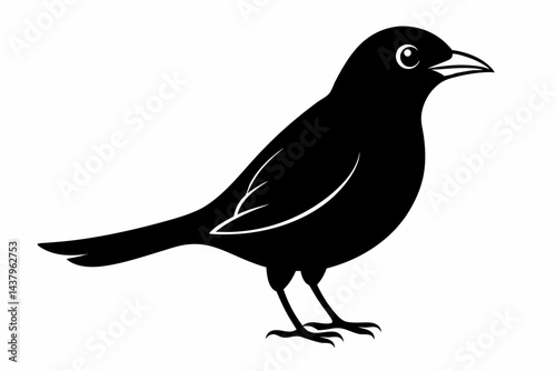 myna sihouette black vector