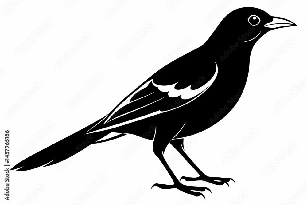 Obraz premium oriole sihouette black vector
