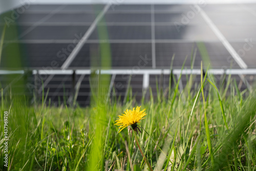 Solar panels photovoltaic power station. Alternative source of electricity. Green and clean energy power photo