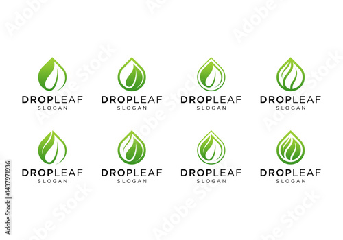 leaf water drop logo template collection
