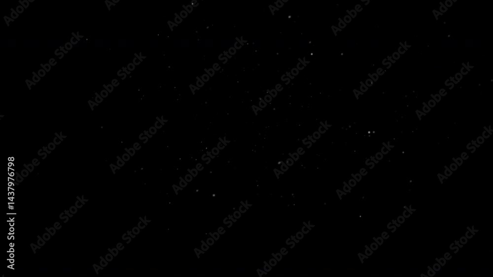 very small fine particles of floating dust or dandelion plant seeds floating through the atmosphere. 4K