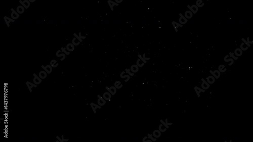very small fine particles of floating dust or dandelion plant seeds floating through the atmosphere. 4K