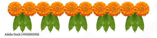 Horizontal marigold flower garland with green mango leaves - traditional indian festive decoration for diwali, ugadi, pongal, onam and navratri