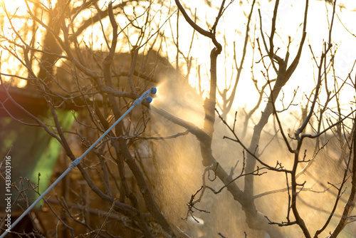 Prevention of diseases of fruit trees in early spring. Spraying by fungicides and insecticides of leaves and branches of trees in the garden.