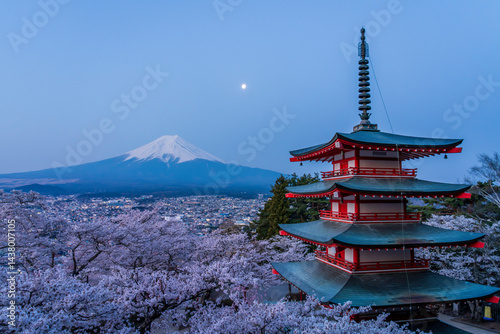夜明けの新倉山浅間公園から忠霊塔の桜と富士山