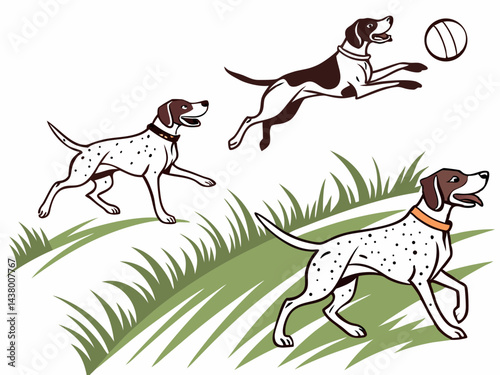 Dog chasing a rolling ball across a grassy field
