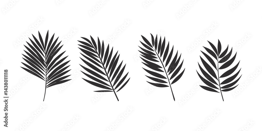 Obraz premium Palm tree leaf set ,silhouette vector illustration.
