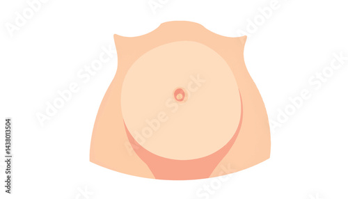 Stylized abstract belly fat folds on white background, body positivity