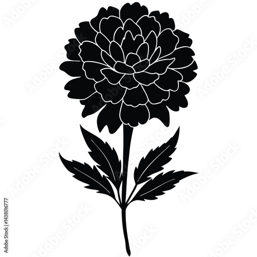 fig marigold flower silhouette vector on white background 