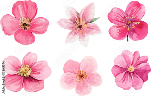 set of pink flowers