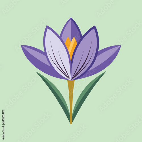 Stylized purple crocus flower illustration with light green background and simple shapes