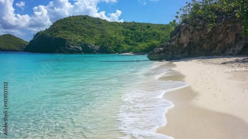 A tropical beach with crystal-clear turquoise waters and white sand