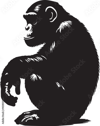Chimpanzee black and white silhouette vector