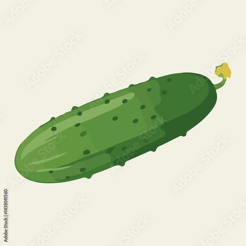 Cucumber green fresh, farm vegetable, vector illustration isolated on white background.