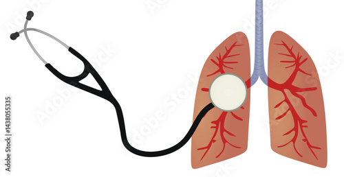 Lungs and stethoscope. vector illustration
