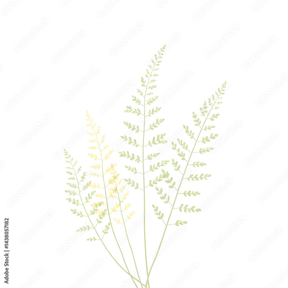 Botanical Illustration - ferns in sage and cream for stationery
Botanical Illustration - ferns in sage and cream for stationery