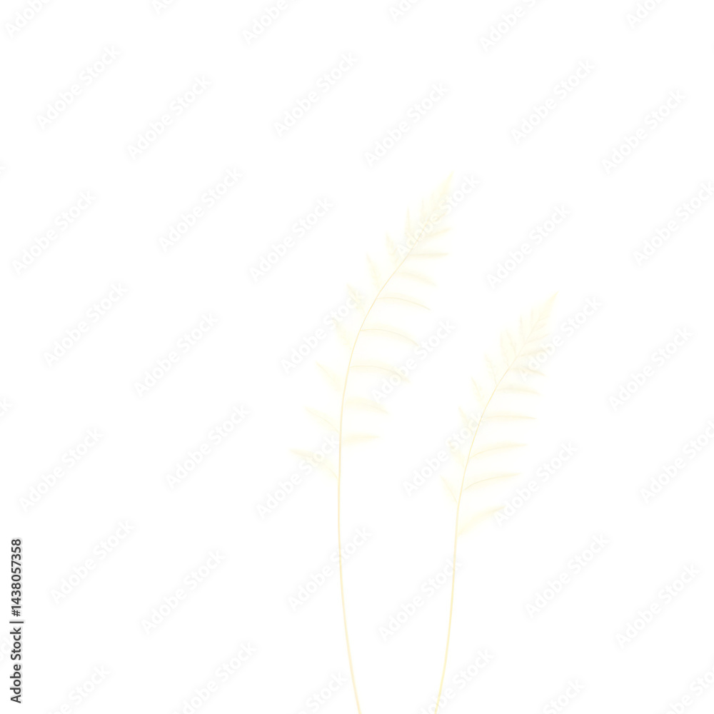 Botanical Illustration - ferns in sage and cream for stationery
Botanical Illustration - ferns in sage and cream for stationery